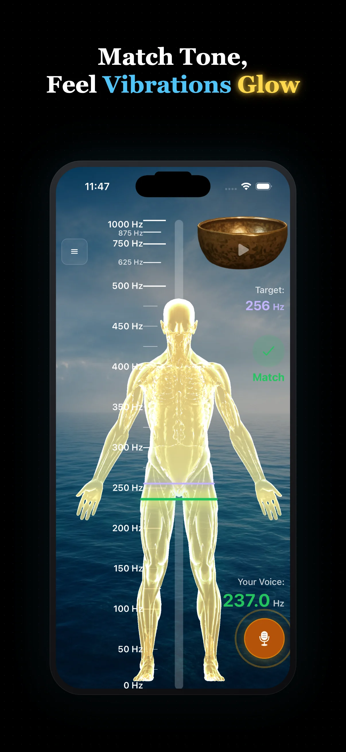 Reso Frequency Balancer body-match screen